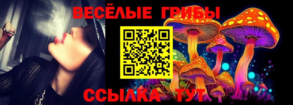 Галлюциногенные грибы прущие грибы Елец